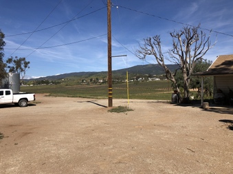 Enlarge photo 33