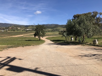 Enlarge photo 35