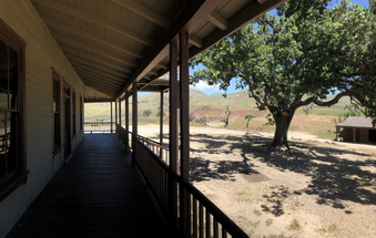 Enlarge photo 112