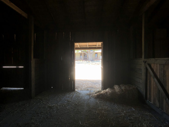 Enlarge photo 168