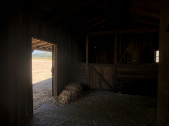 Enlarge photo 169