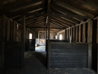 Enlarge photo 172