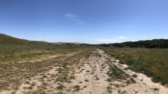 Enlarge photo 188