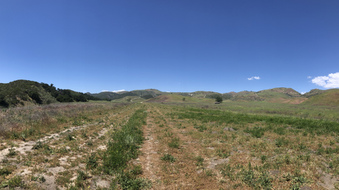 Enlarge photo 189
