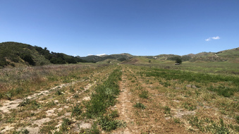 Enlarge photo 190