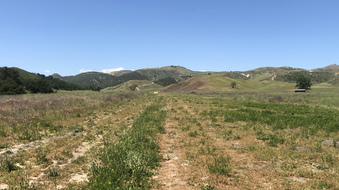 Enlarge photo 191