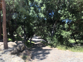 Enlarge photo 8