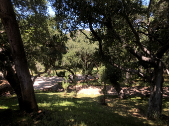 Enlarge photo 31
