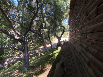Enlarge photo 32