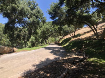 Enlarge photo 33