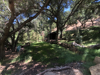 Enlarge photo 35