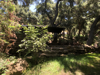 Enlarge photo 36