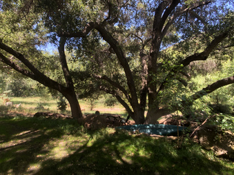 Enlarge photo 37
