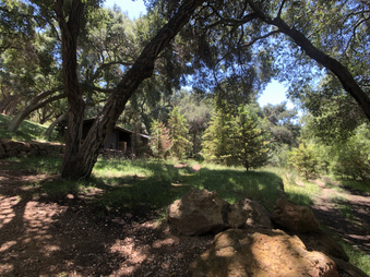 Enlarge photo 46
