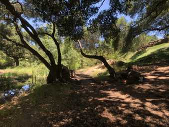 Enlarge photo 47