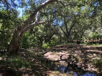 Enlarge photo 49