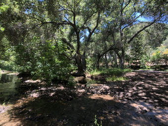 Enlarge photo 51