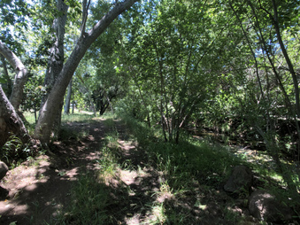 Enlarge photo 54