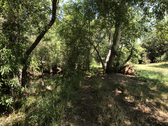 Enlarge photo 55
