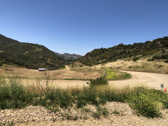 Enlarge photo 102