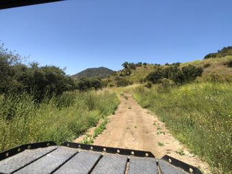 Enlarge photo 107