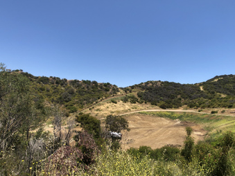 Enlarge photo 112