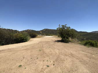Enlarge photo 113