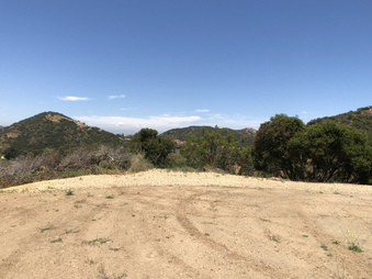 Enlarge photo 118