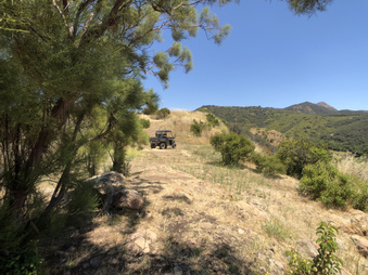 Enlarge photo 123