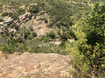 Enlarge photo 125