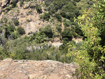 Enlarge photo 126