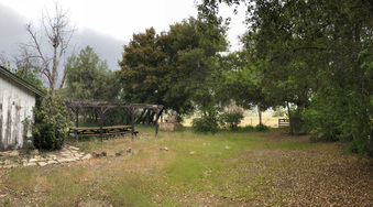 Enlarge photo 10