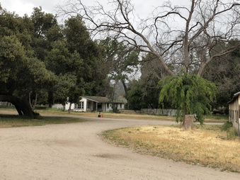 Enlarge photo 136