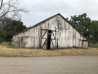 Enlarge photo 135