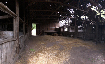 Enlarge photo 137