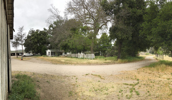 Enlarge photo 142