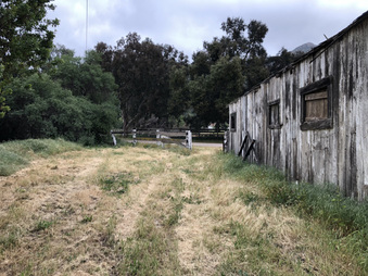 Enlarge photo 149