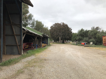 Enlarge photo 154