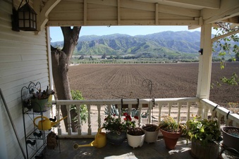 Enlarge photo 79