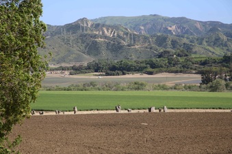 Enlarge photo 81