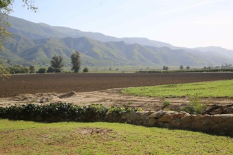 Enlarge photo 123