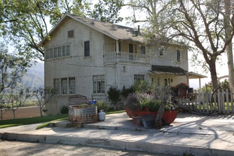 Enlarge photo 126