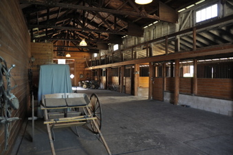 Enlarge photo 51
