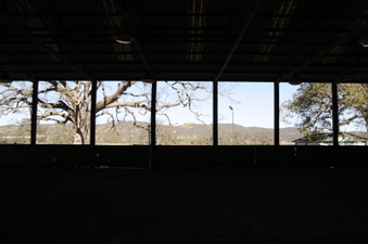 Enlarge photo 61