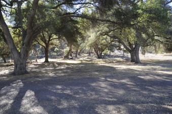 Enlarge photo 67