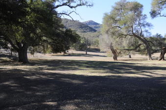 Enlarge photo 68