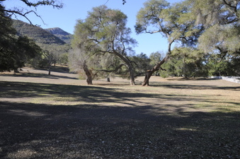 Enlarge photo 69