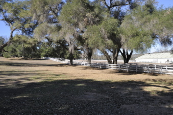 Enlarge photo 70