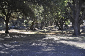 Enlarge photo 71
