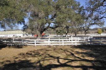 Enlarge photo 72